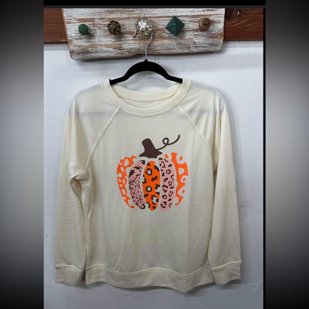 Fall pumpkin sweatshirt size small